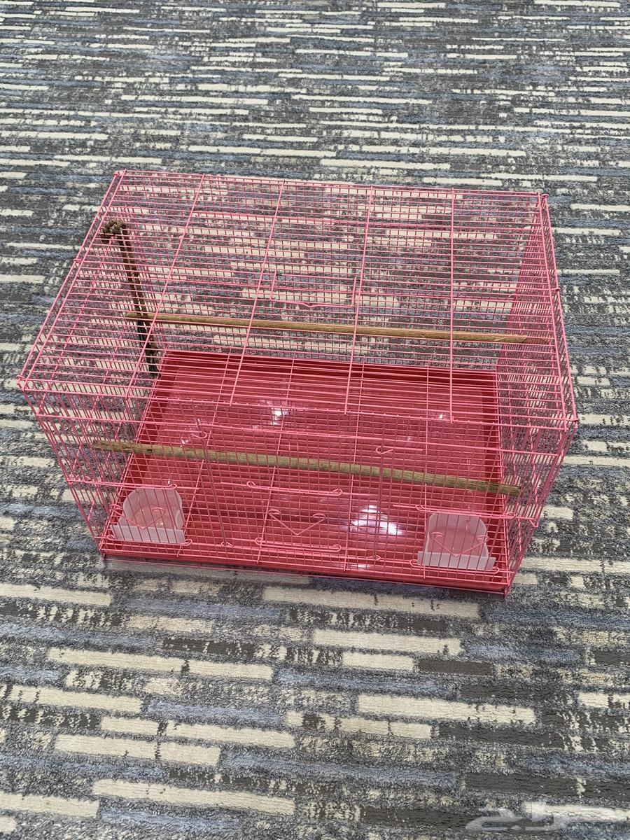 قفص 601 لون وردي64390319499138110