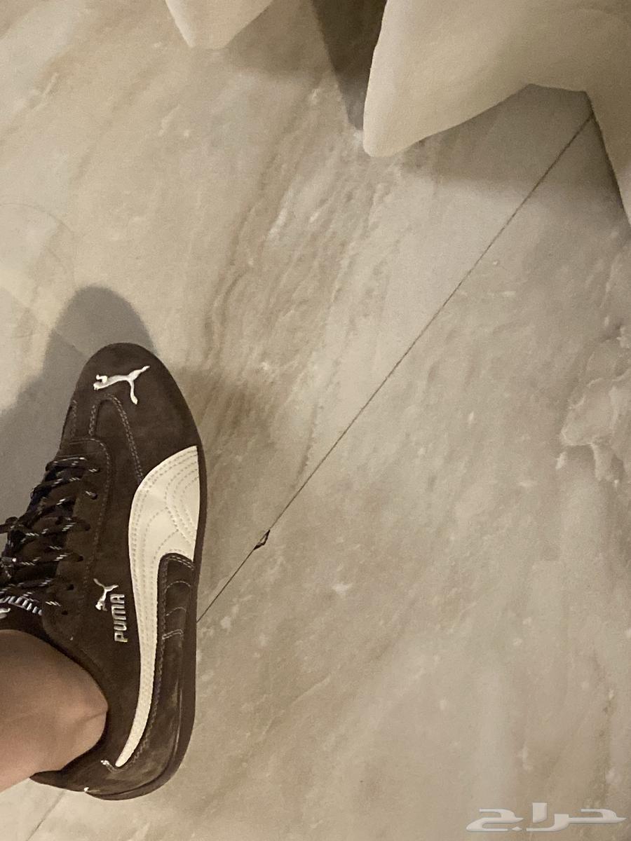 جزمة بوما سبيد كات لون ب ني غامق64390485628161111