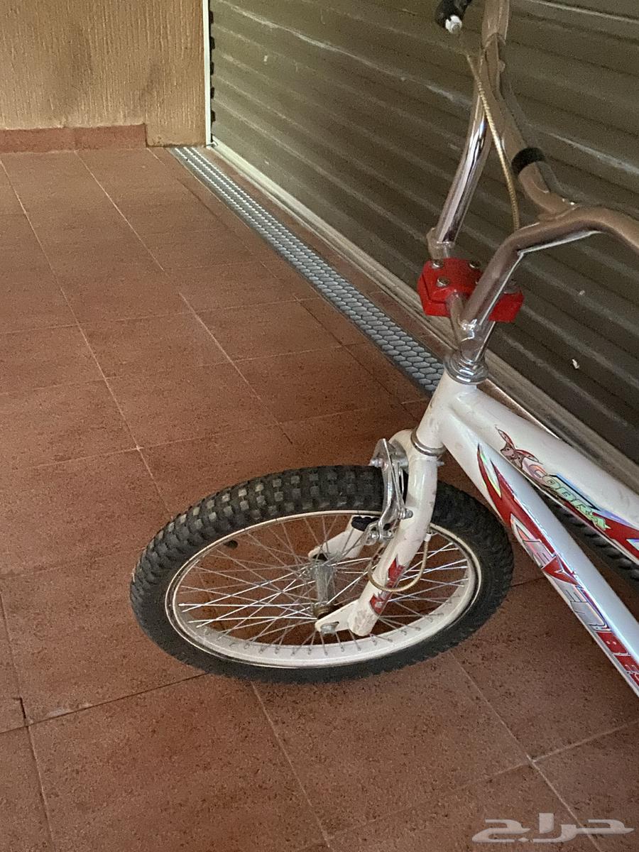 سيكلين وسكوتر للبيع64387912489217110