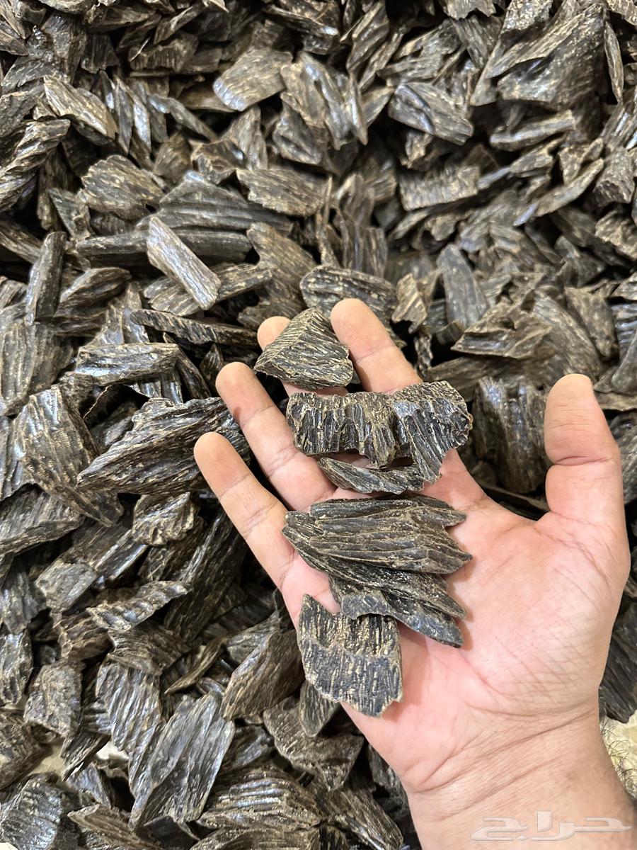 مزاد على ربع كيلو كلمنتان طبيعي محسن64383317261186112