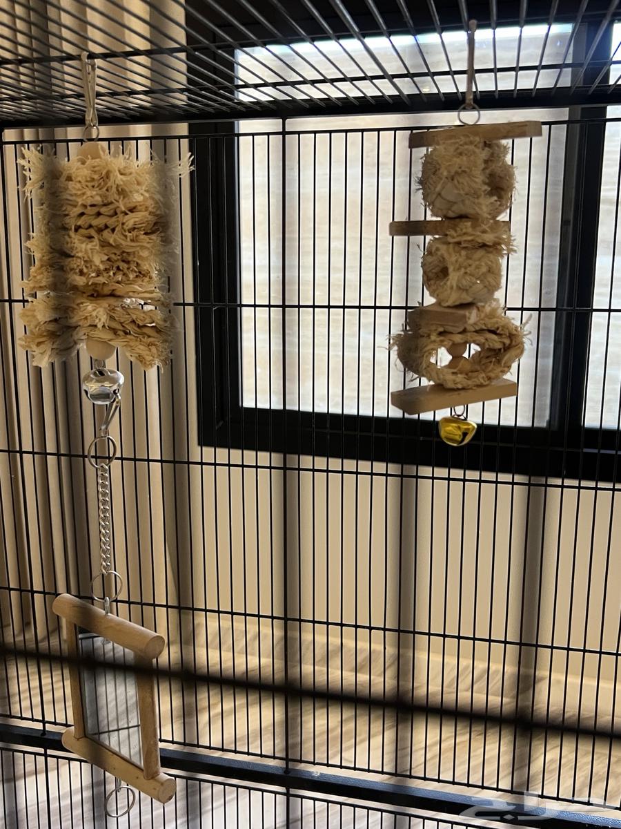 3 طيور كروان مع قفص وملحقات64381246347139114