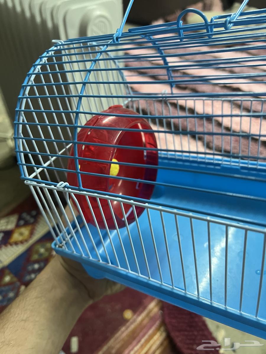 قفص طير64379674619009113