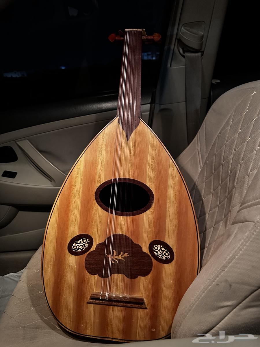 عود مصري للبيع على سوم64388826116226110