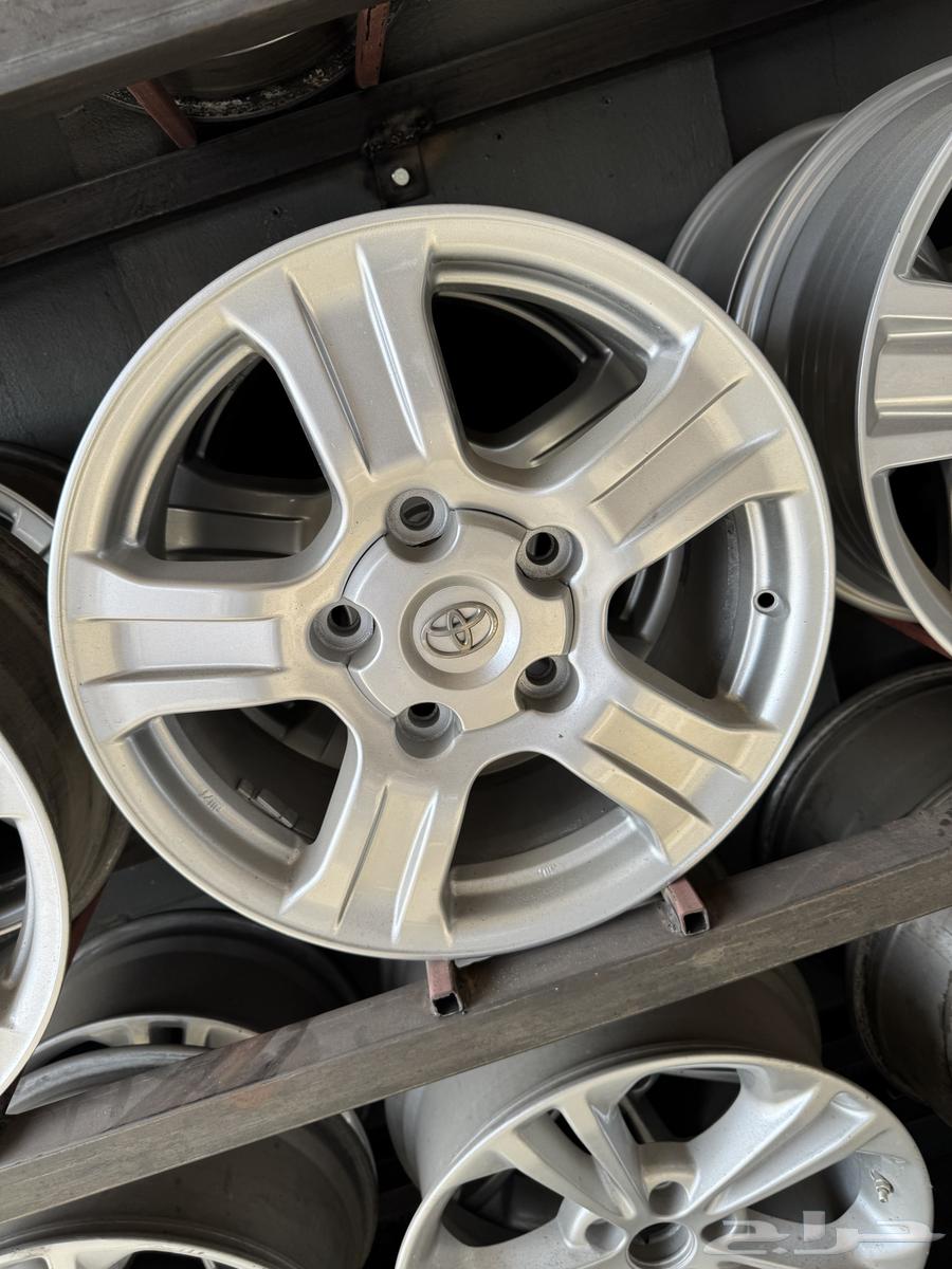 جنوط سكويا اصلي 1864529278266242111