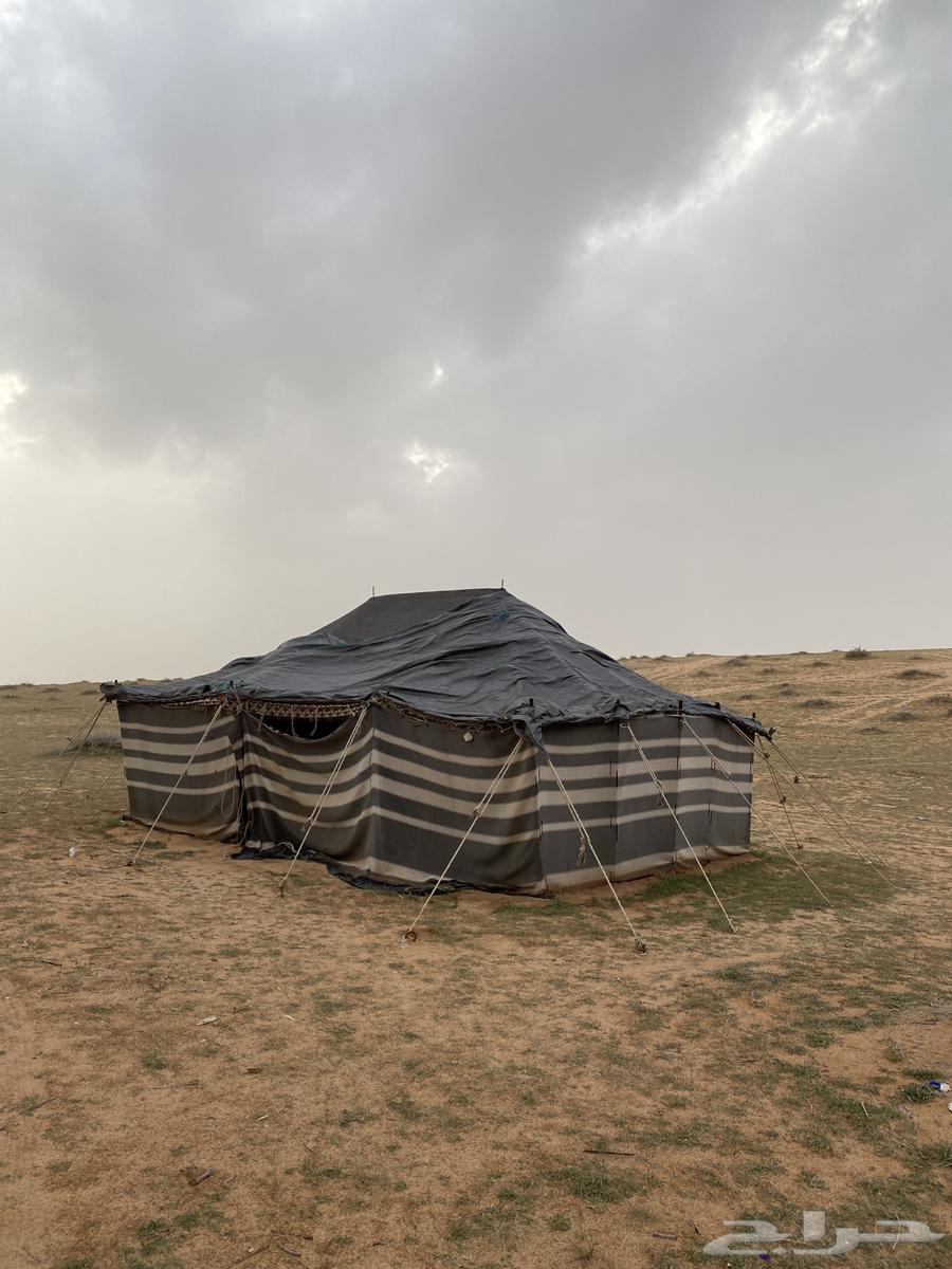 خيمة بيت شعر64383760487683110