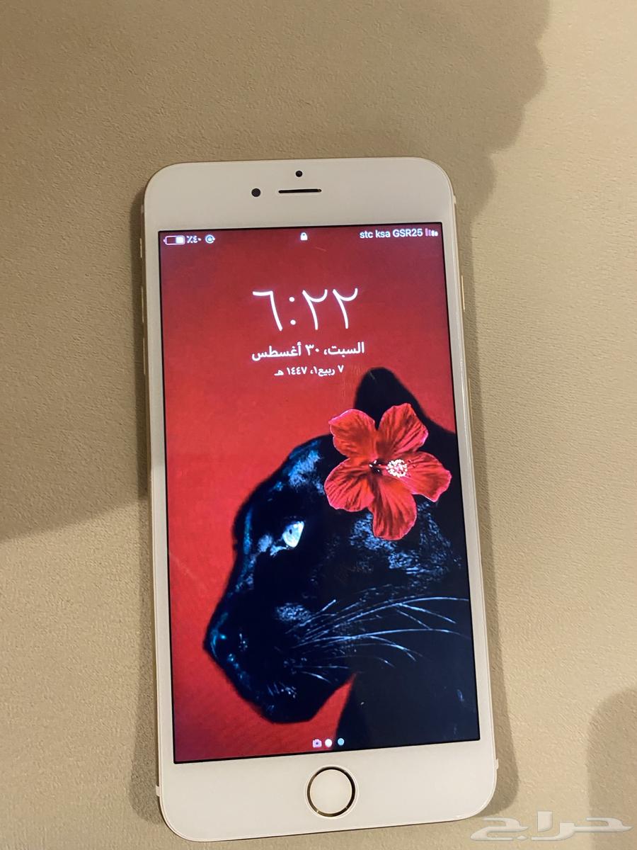 Regular iPhone 6 iPhone Clean64387787953025110