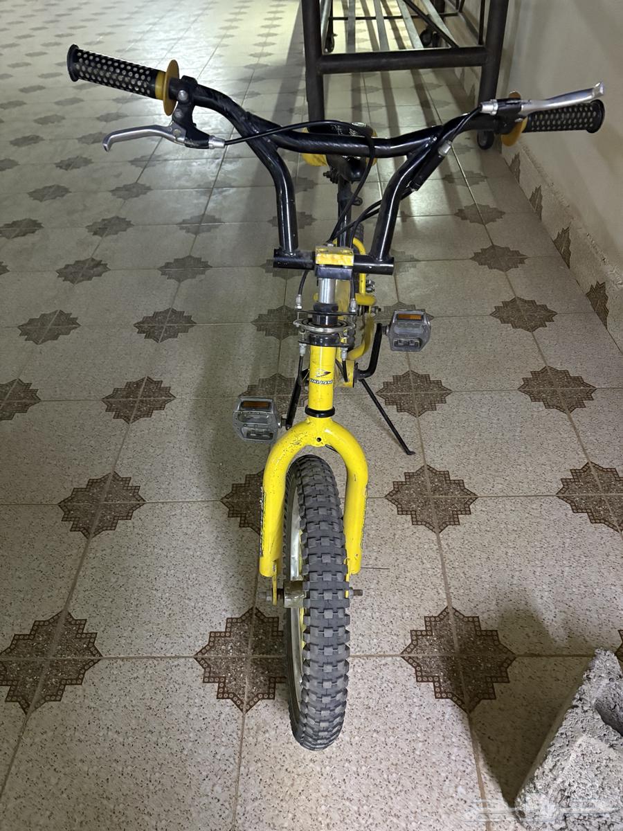 دراجه كوبرا اصفر64379239175425111