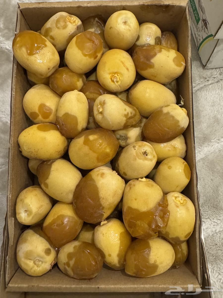 Dates64382679643779112