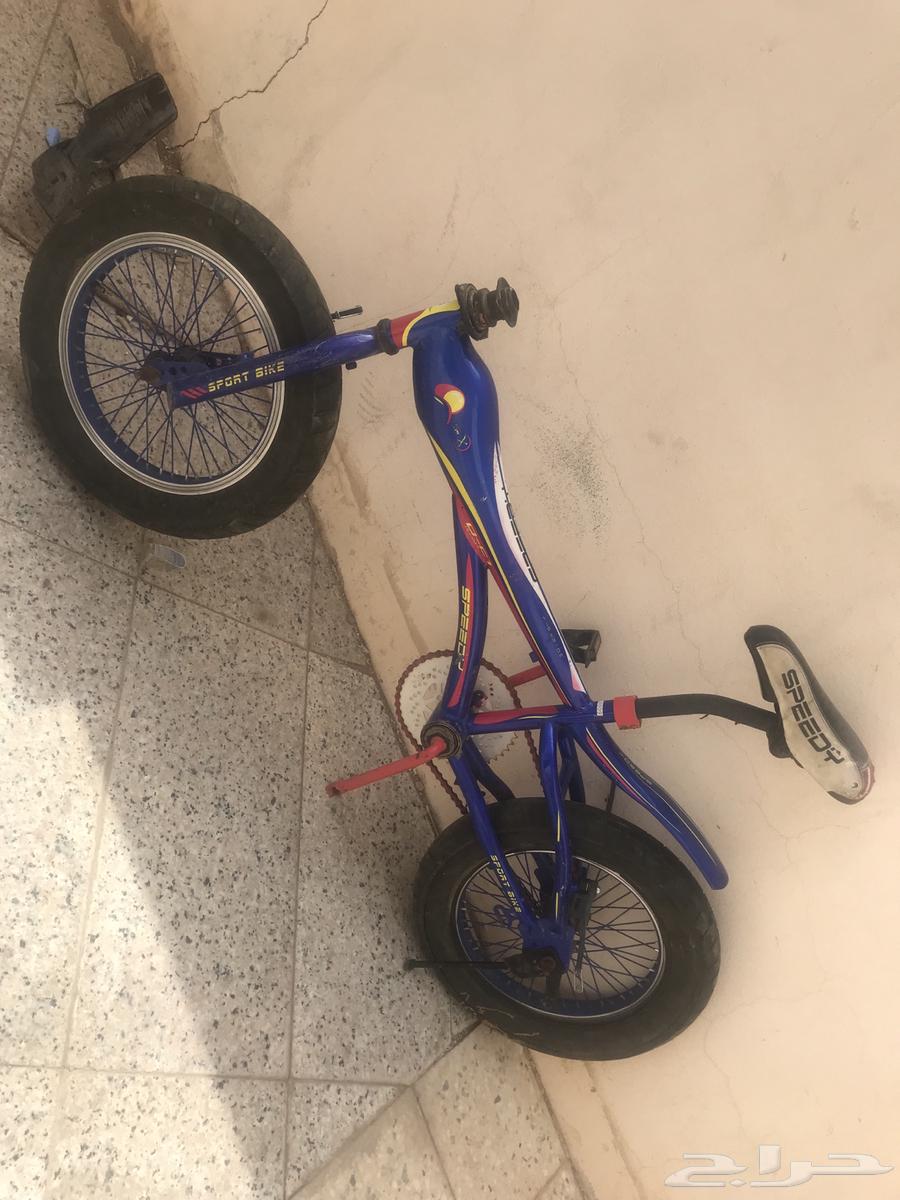 Cobra size 1664378368042883110