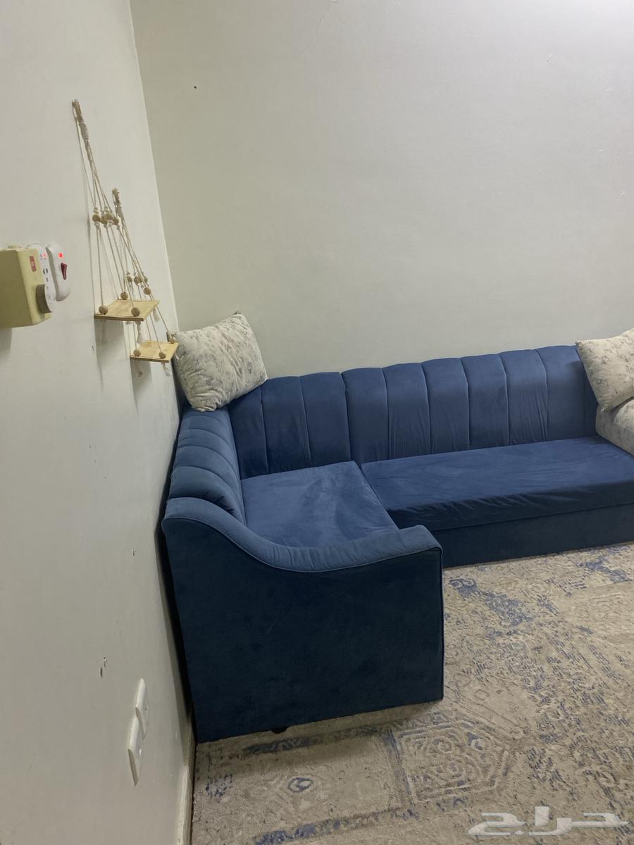 Clean tent with mat and curtain64383898791810114