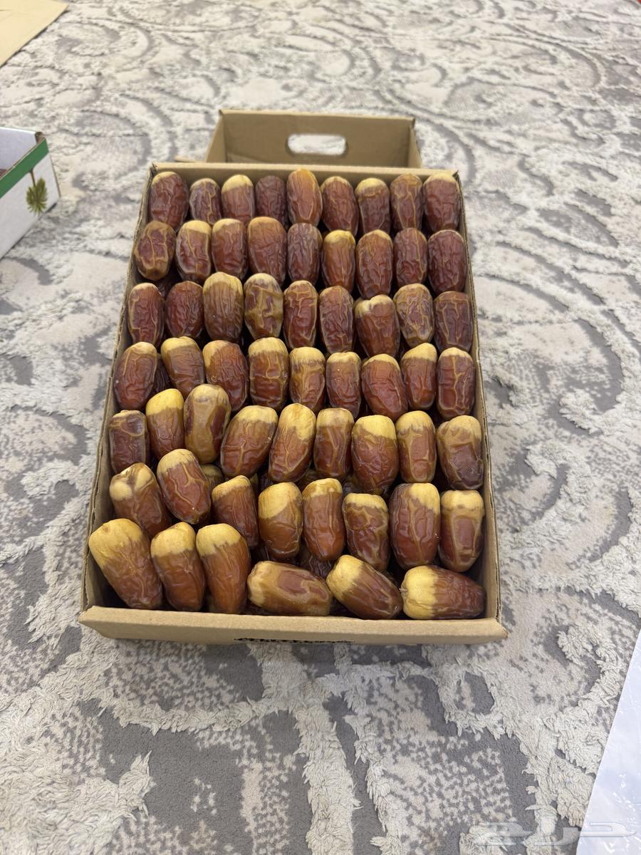 صقعي مبروم فاخر64391357553666110