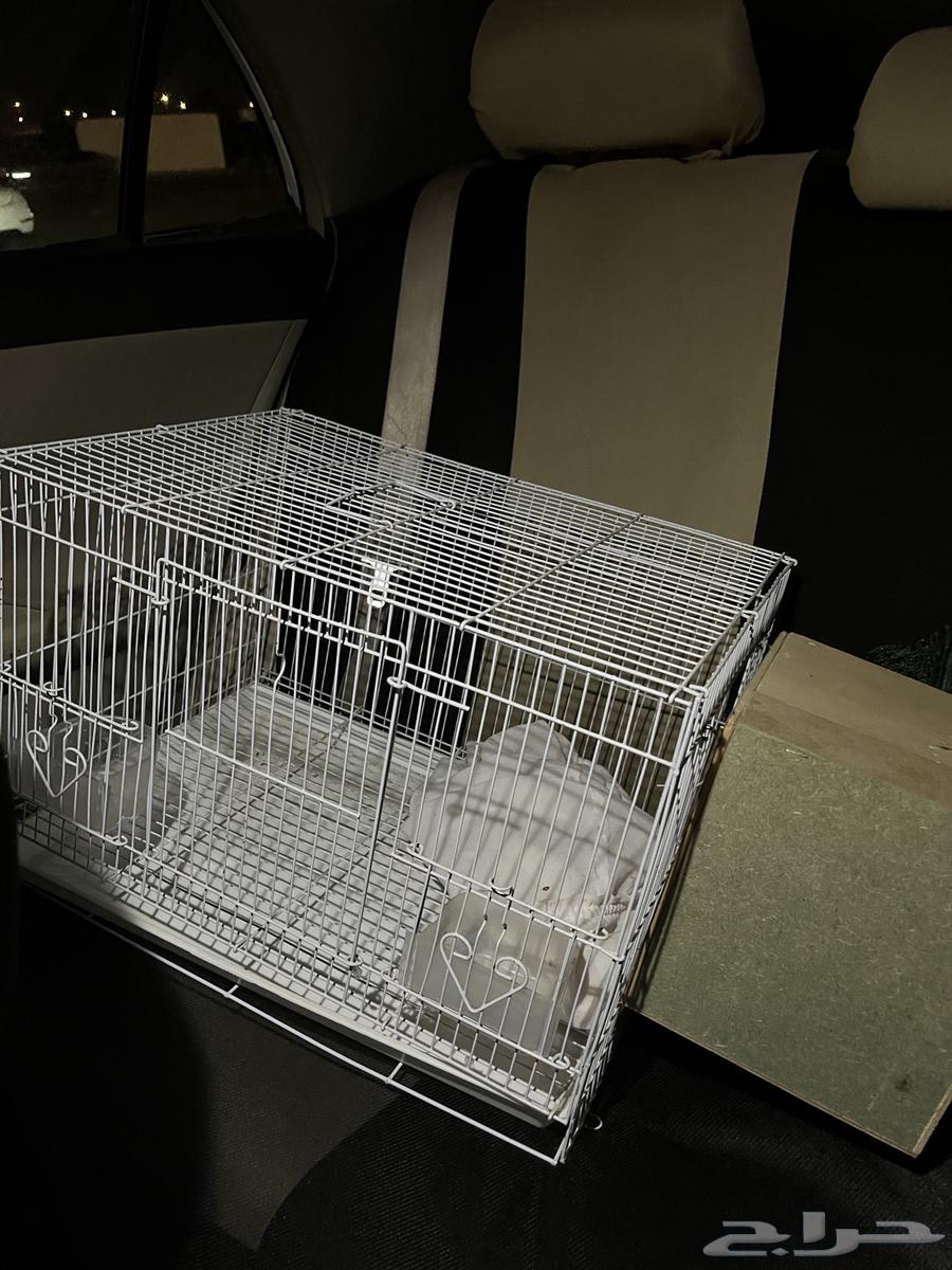 قفص طيور64390816070018110