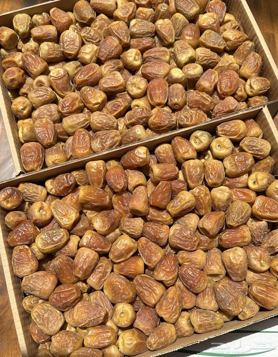 Premium Sukkari Dates64386487417730110