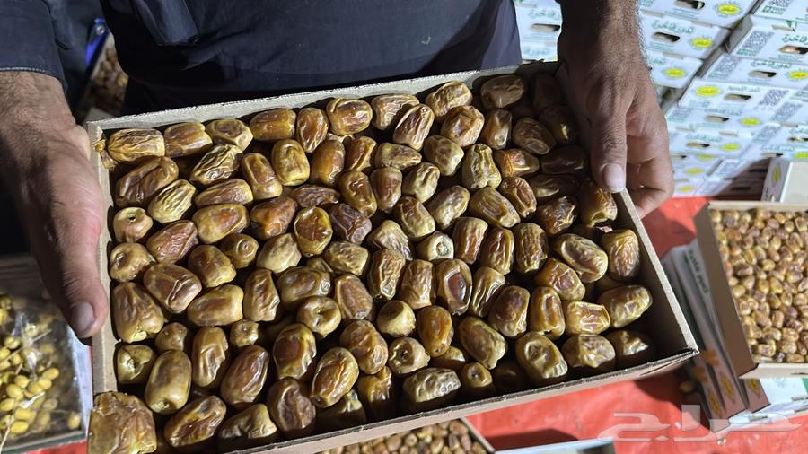 Qassim Sukkari Date, Fresh and Soft, Symbolic Price64386333139842110