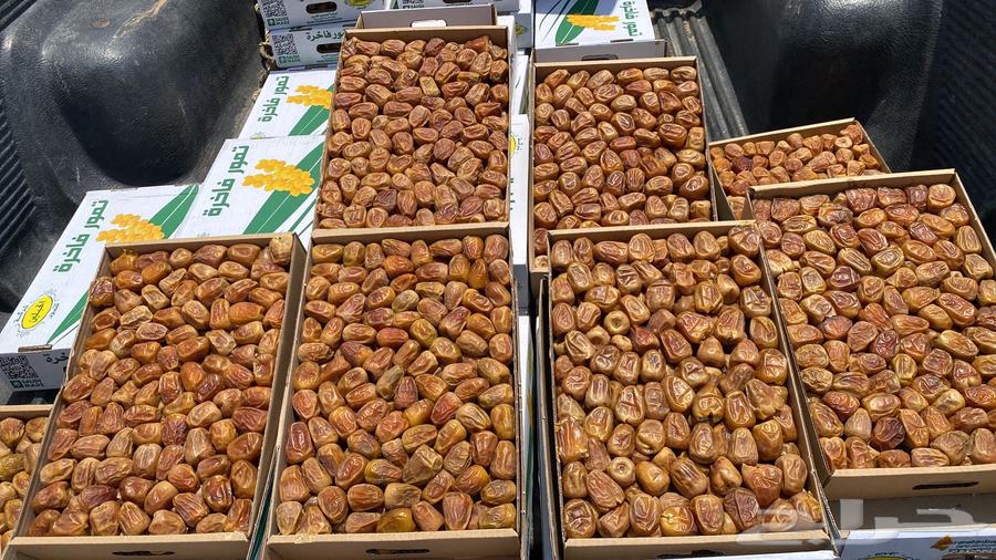 Clean and new 40 date sugar64382707718273110