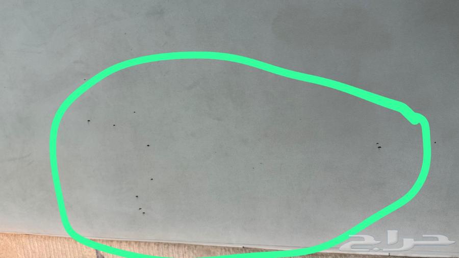 كنب للبيع64384703113858113