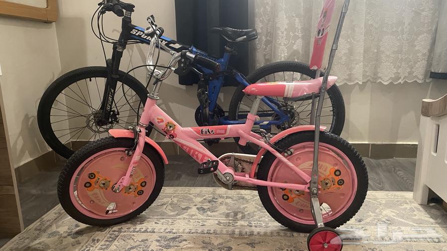 دراجه سيكل رياضي و لوحات جداريه لوحات فنيه64386206974594114