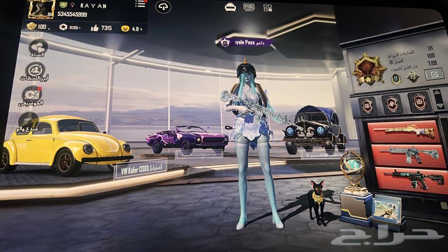 حساب ببجي للبيع64381205220609110