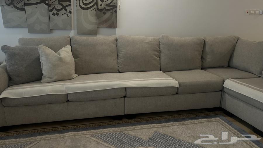 كنب أشلي حرف L64392374994433114