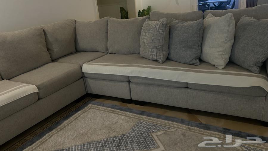 كنب أشلي حرف L64392374994433111