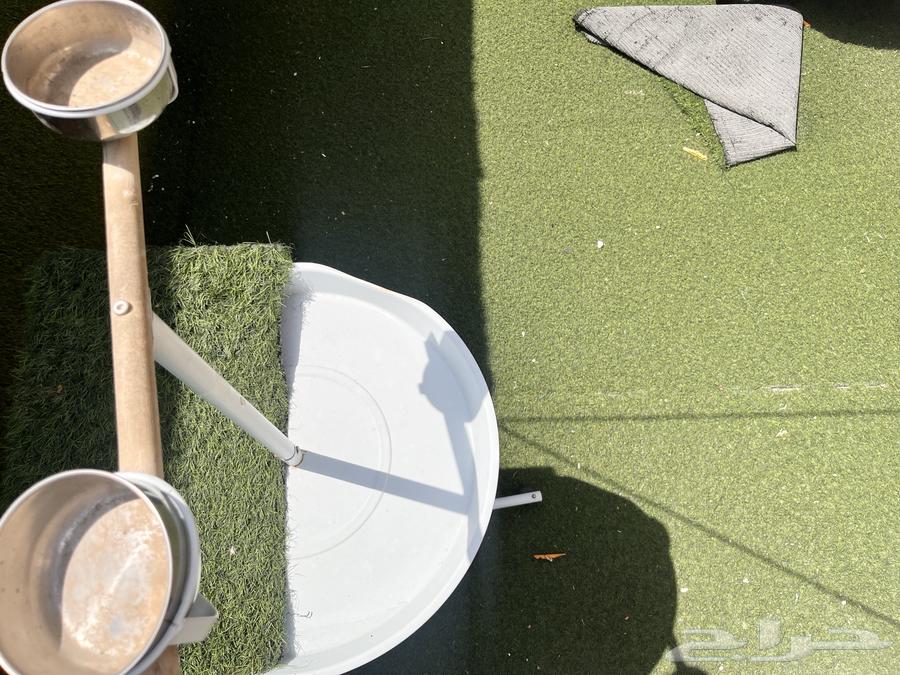 Bird Stand64383746705921112