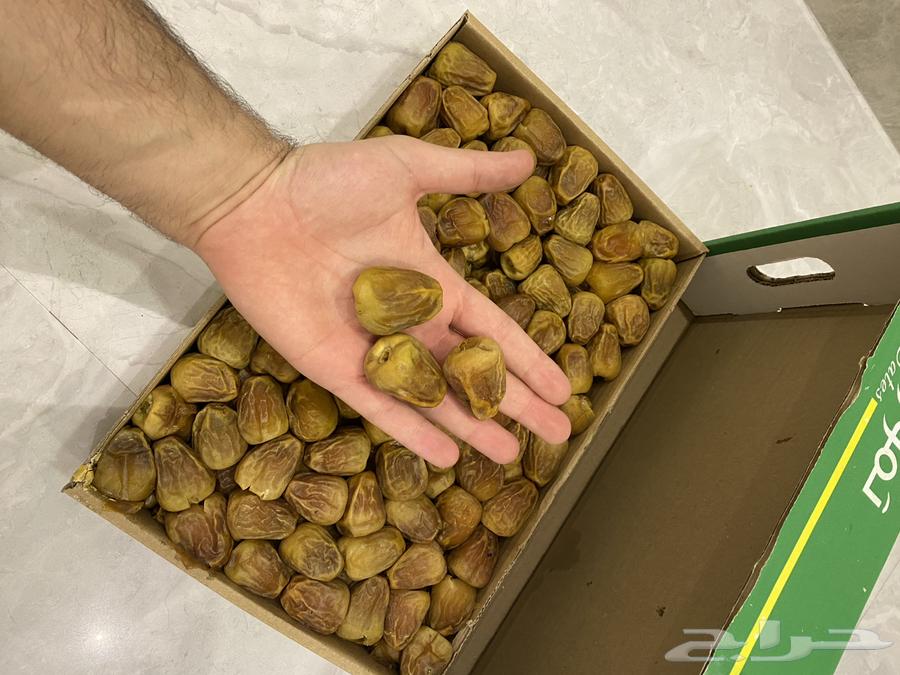 Premium Sukkari Mafteeel Dates 1447 Hijri64391701214337110