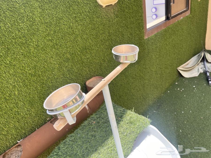 Bird Stand64383746705921111