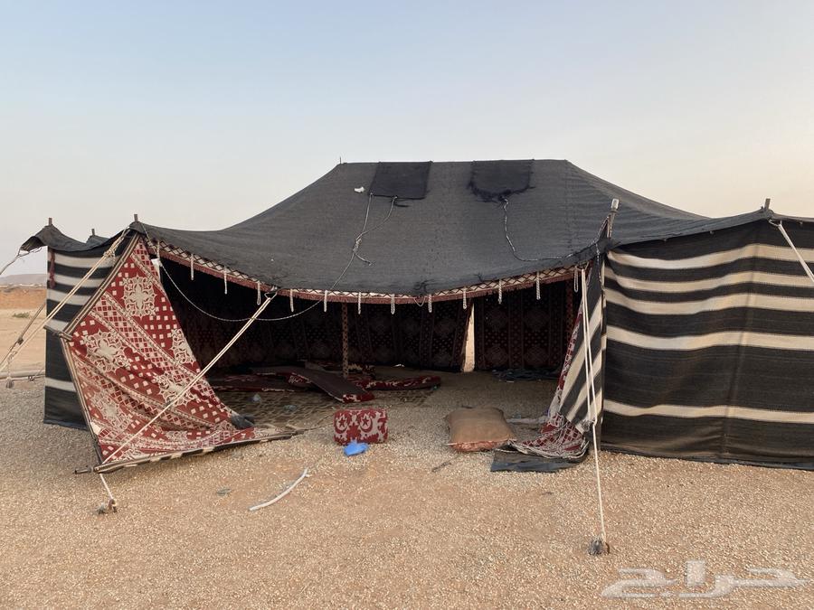 للبيع اغراض مخيم وبيوت شعر نظيفه64379732528898111