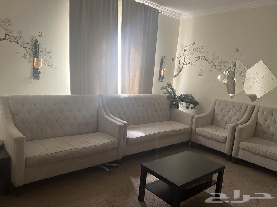 Sofa set64384259550083111