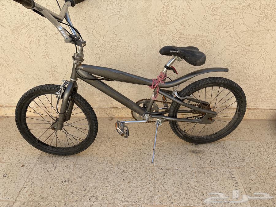 Cobra bicycle64373433289601112