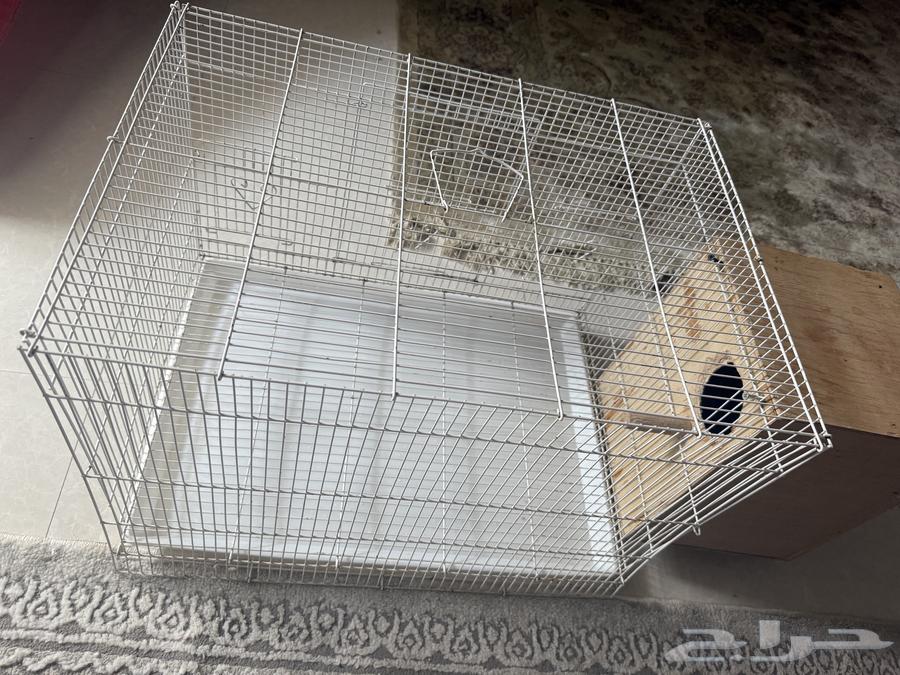 Kasco parrot cage and large parrot cage with white nesting box in good condition64382955819266111