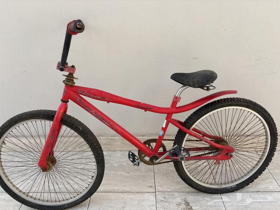 سيكل كوبرا للبيع64386668779907110