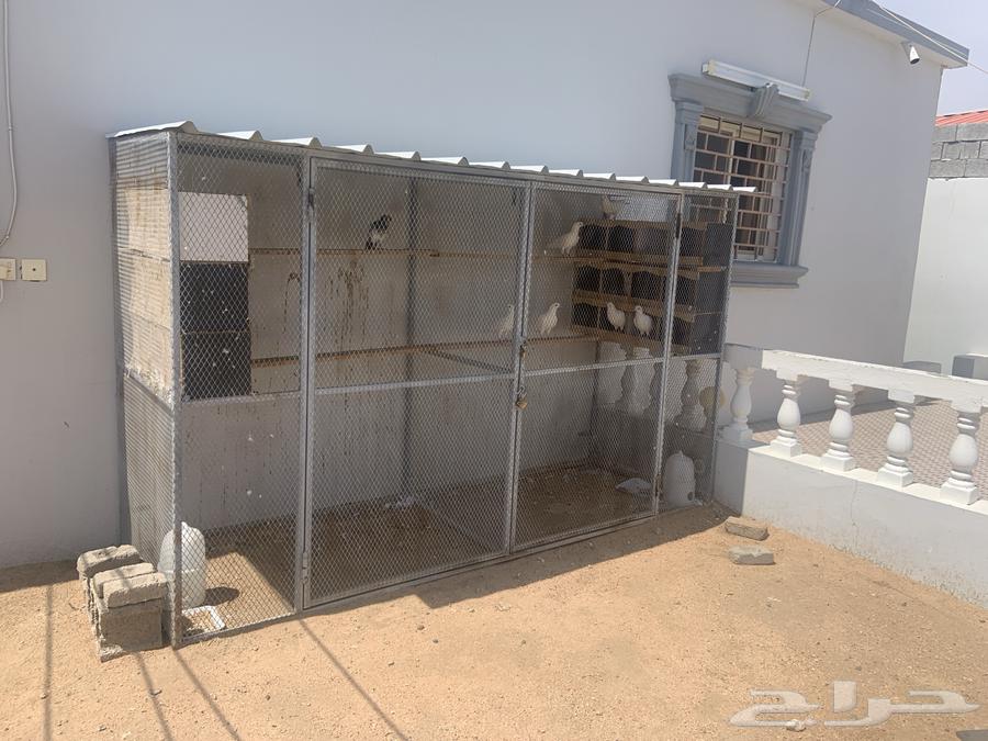 Wall-mounted two-part box64381384249985110