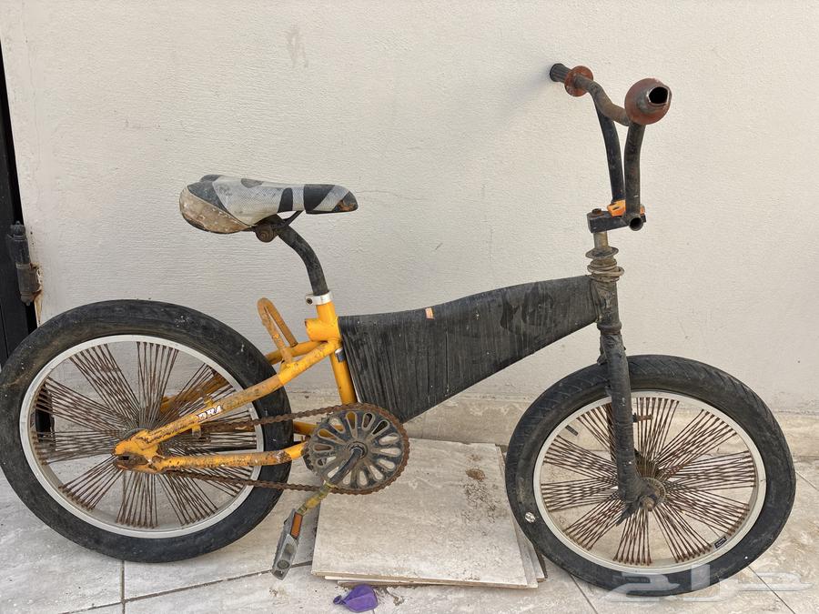 سيكل كوبرا للبيع64386668779907113