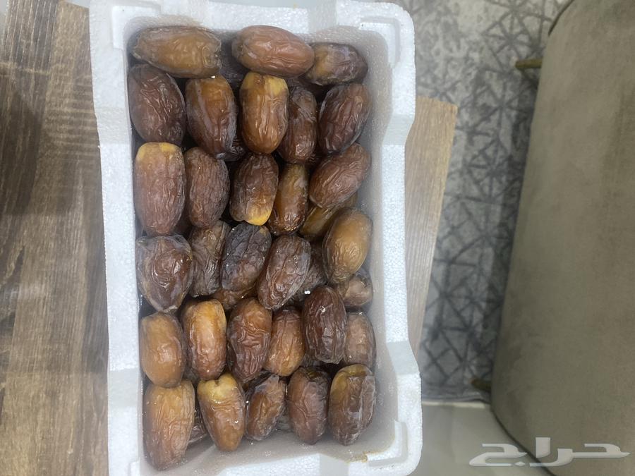 مجدول المدينه64383136167681112