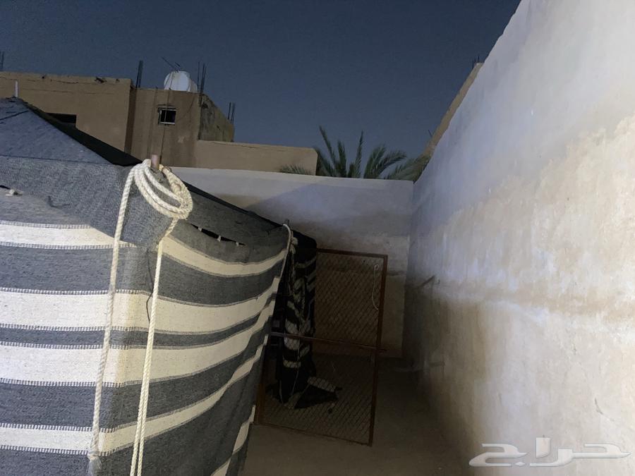 House for sale, 4 rooms, reason for sale: no one comes to visit the relatives64388427236227111