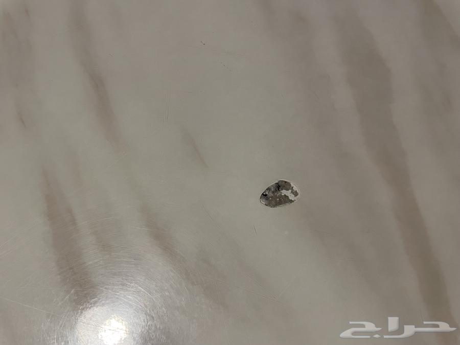 Dining table with four chairs64386096219267111