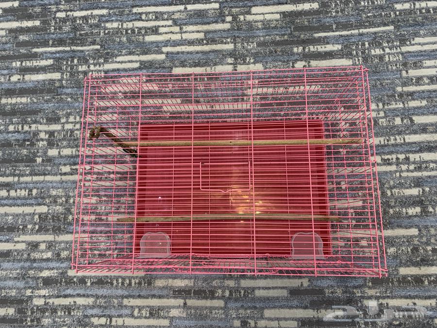 قفص 601 لون وردي64390319499138111