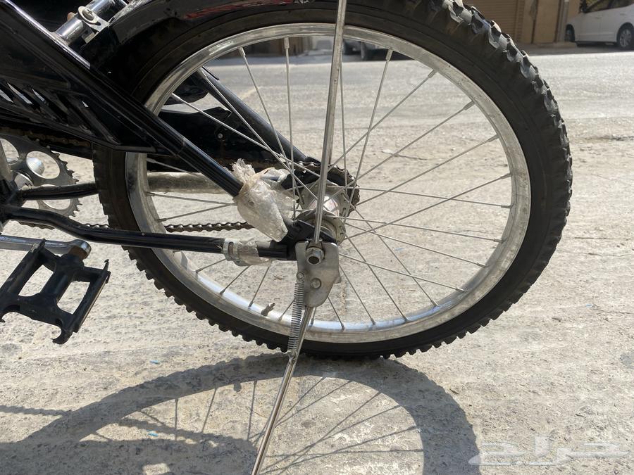 الخبر  حي العقربية64381054508674114