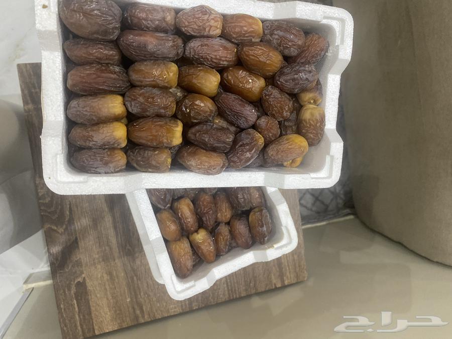 مجدول المدينه64383136167681111