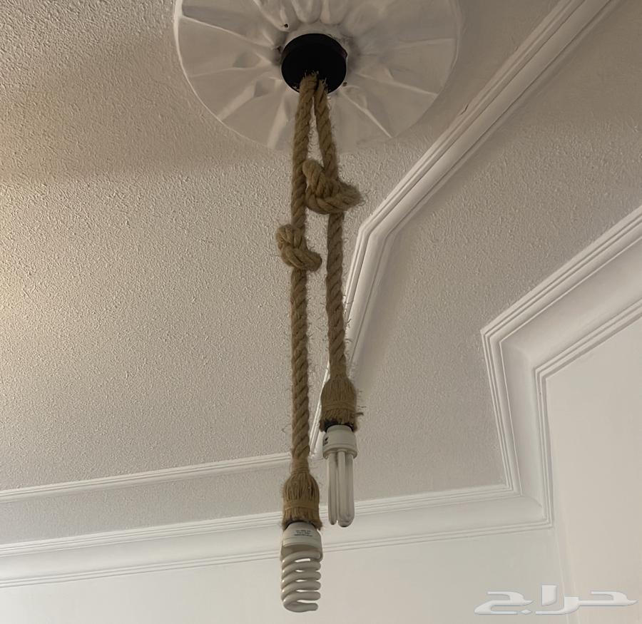 Ceiling Lights64383981179650111