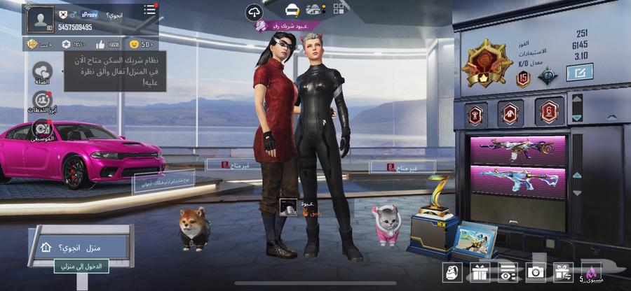 حساب ببجي للبيع .64378629639171110