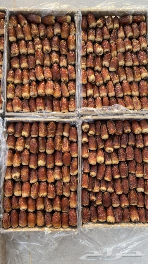 Tamr Saqei64387201817858110