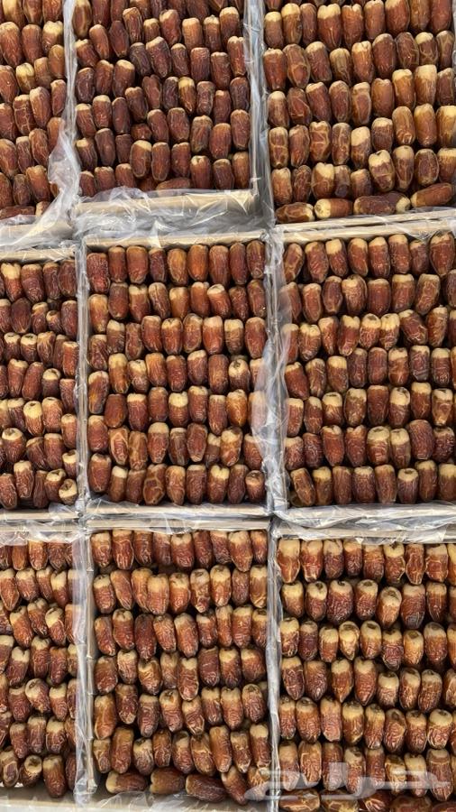 Tamr Saqei64387201817858113