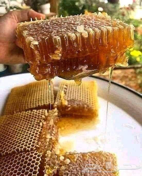 Hello, we offer guaranteed honey from a private farm in Rijal Alma.64381726297730110