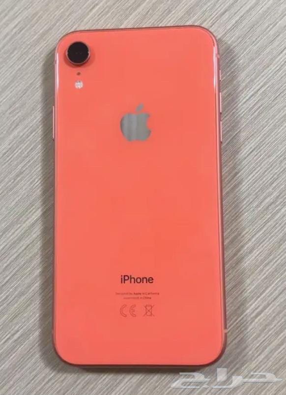 iPhone XR64380058629379110