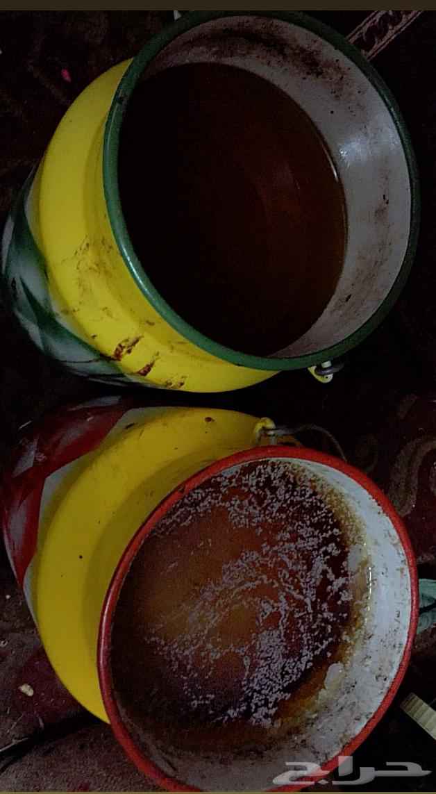 Sheep64380419940482110