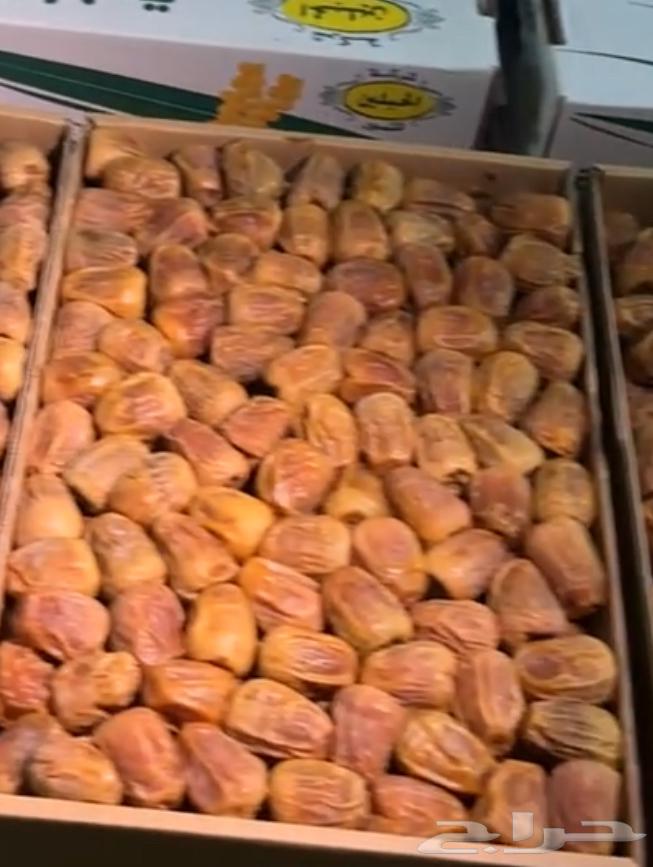 Tamr Sekri Mafatil64383871493249110