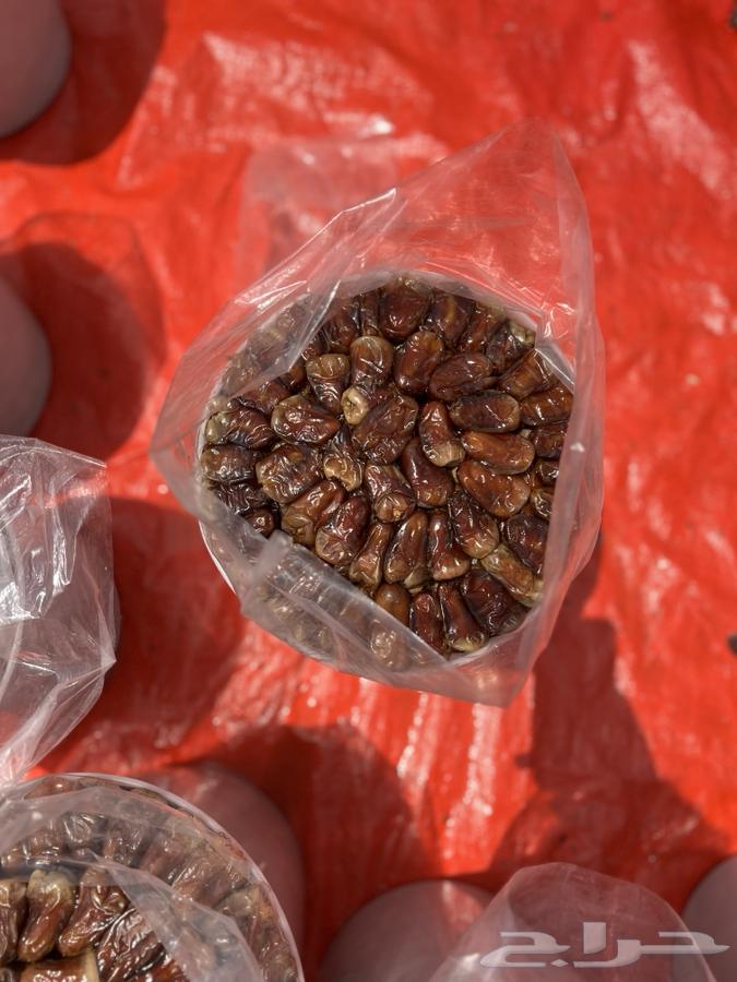 برني و كعيمر فاخر64388674597506110