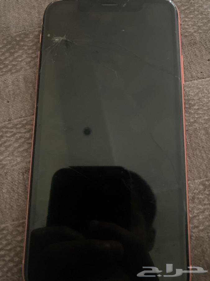 iPhone XR64378411425538111